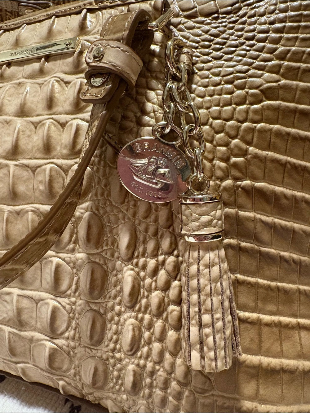 Brahmin Mini Asher Granite Melbourne Croc-Embossed Leather Satchel - Picture 7 of 16
